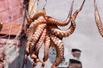Greece Squid 689385